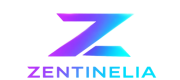 Zentinelia Agencia de Marketing Digital